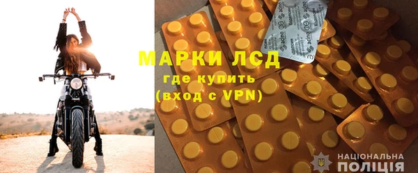 ГАЛЛЮЦИНОГЕННЫЕ ГРИБЫ Кулебаки