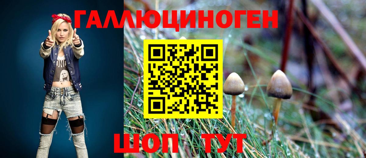 Псилоцибиновые грибы мицелий Апрелевка